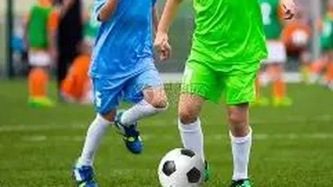 三亚旅游局介入调查李湘退租未清洁事件