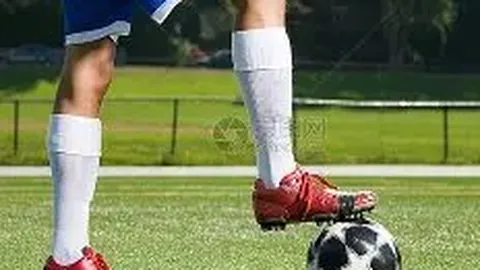 西里奇与施瓦茨曼晋级澳网第二轮 辛纳取得大满贯赛事首胜