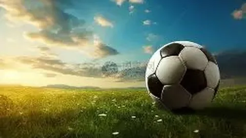 2025年亮点：张家朗、江旻憓、何詩蓓书写传奇，欢乐相伴的他们与她们